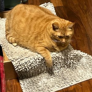 Meet your Posher, Demetria